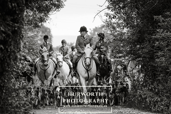 Hurworth Hunt 374