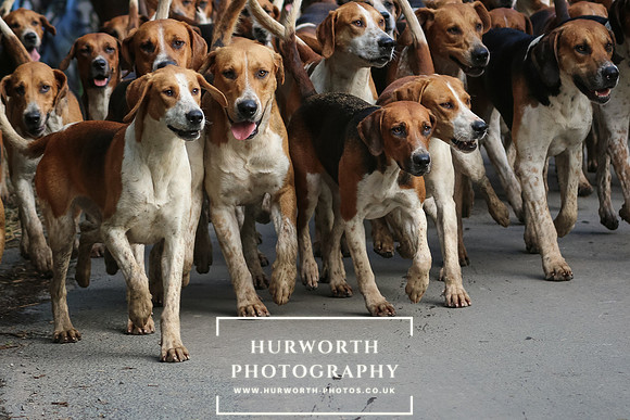 Hurworth Hunt 32