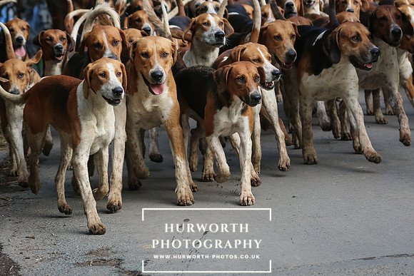 Hurworth Hunt 33