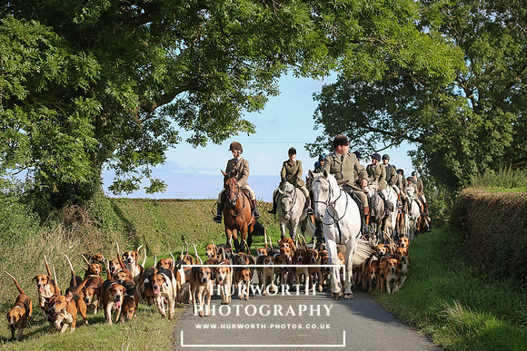 Hurworth Hunt 215