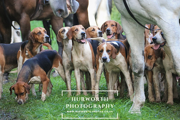 Hurworth Hunt 270