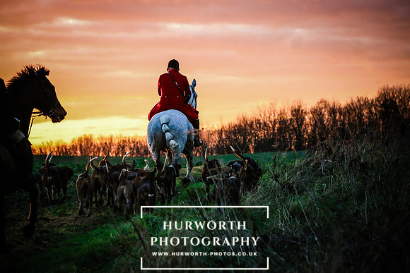 Hurworth Hunt  390