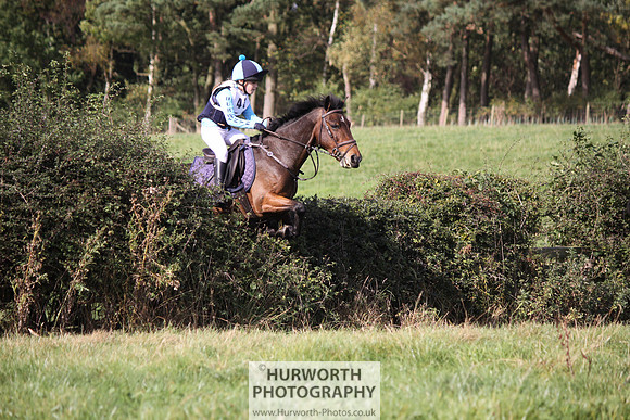 Hurworth Bilsdale Hedge Hop 317