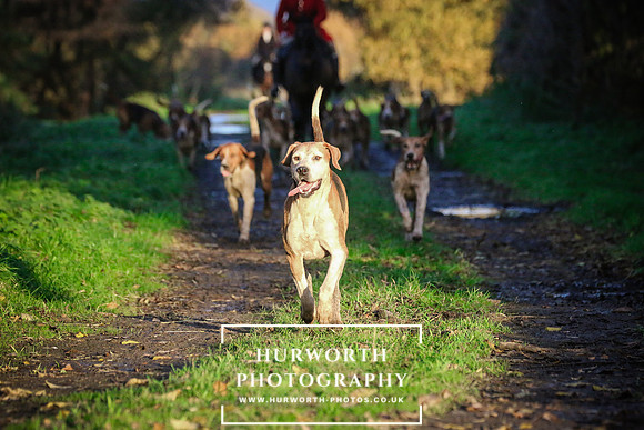 Hurworth Hunt  218