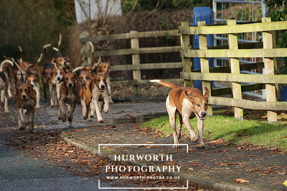 Hurworth Hunt  165