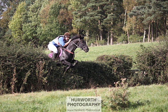Hurworth Bilsdale Hedge Hop 540