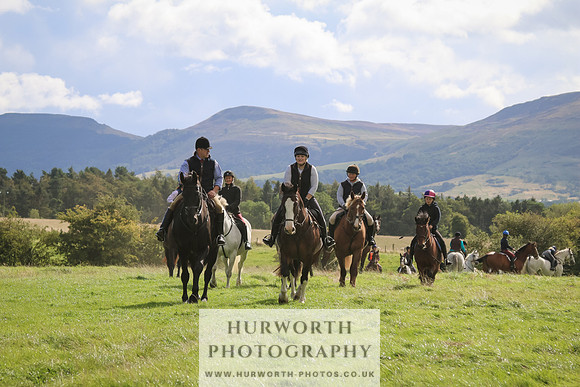 Hurworth Hunt 1