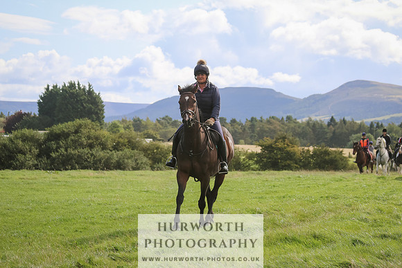 Hurworth Hunt 10