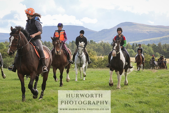 Hurworth Hunt 20