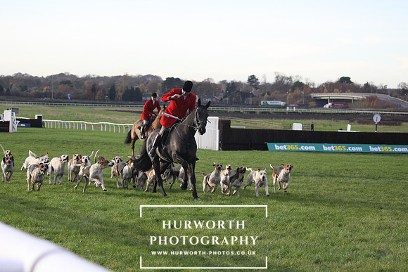 Countryside Raceday 147