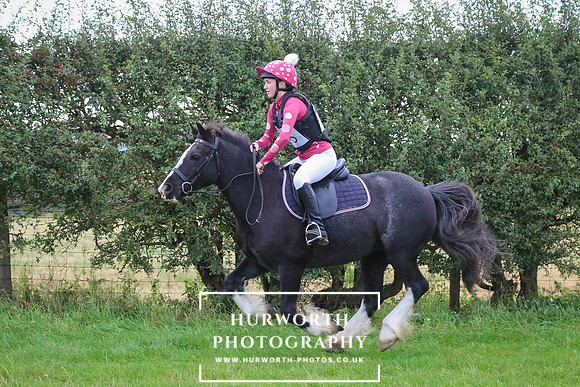 Hurworth Hunter Trial 133