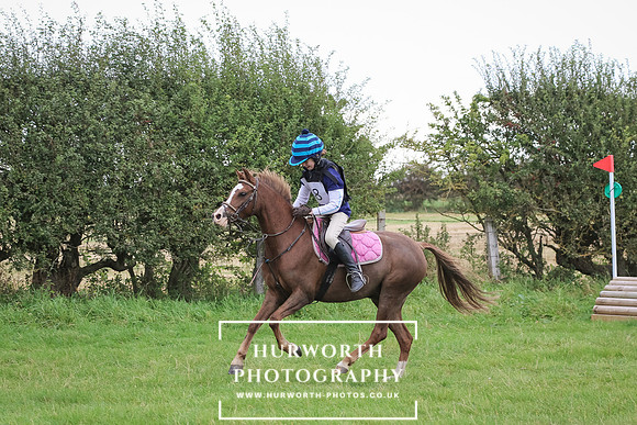 Hurworth Hunter Trial 207