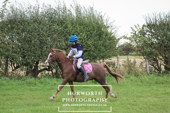 Hurworth Hunter Trial 208