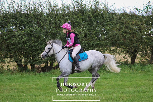 Hurworth Hunter Trial 228