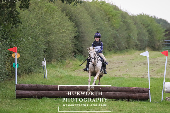 Hurworth Hunter Trial 270