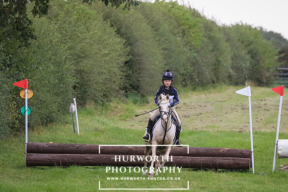 Hurworth Hunter Trial 273