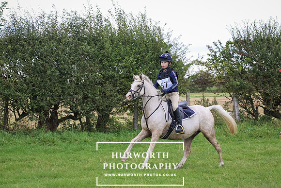Hurworth Hunter Trial 278