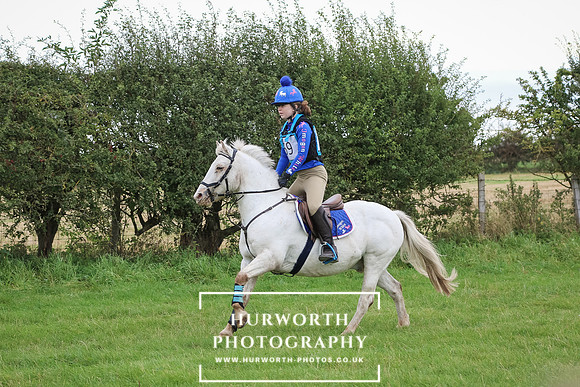 Hurworth Hunter Trial 295