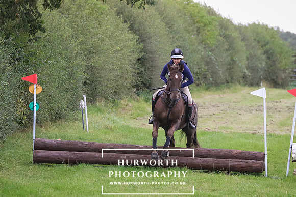 Hurworth Hunter Trial 300