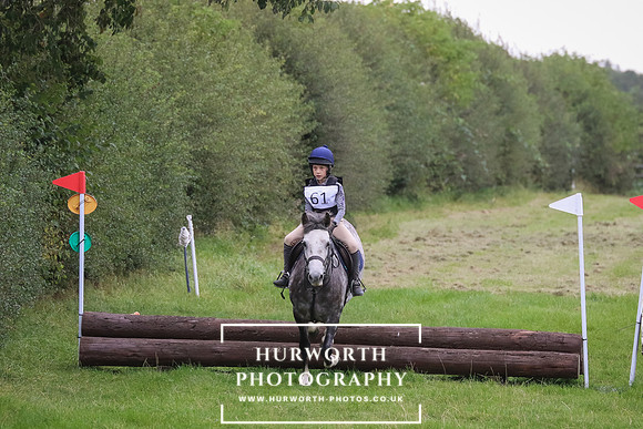 Hurworth Hunter Trial 310