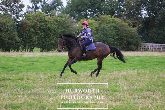 Hurworth Hunter Trial 234