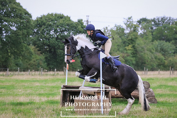 Hurworth Hunter Trial 250