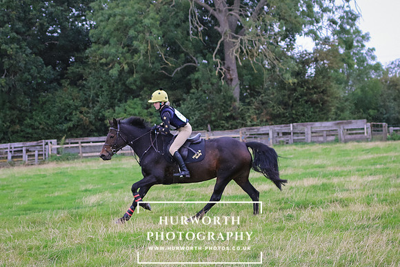 Hurworth Hunter Trial 264