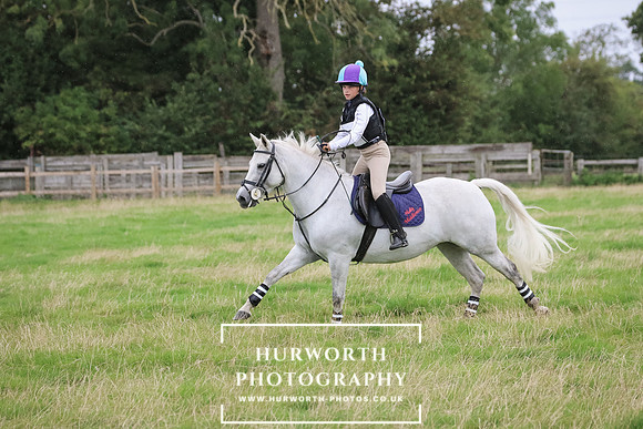 Hurworth Hunter Trial 377