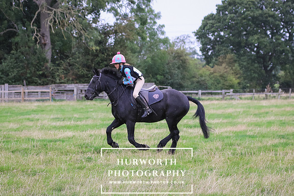Hurworth Hunter Trial 397