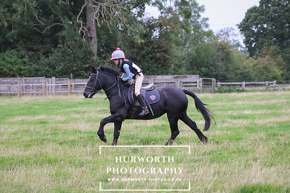 Hurworth Hunter Trial 398