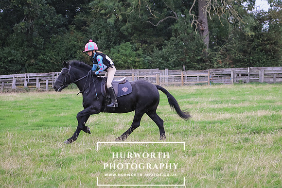 Hurworth Hunter Trial 399
