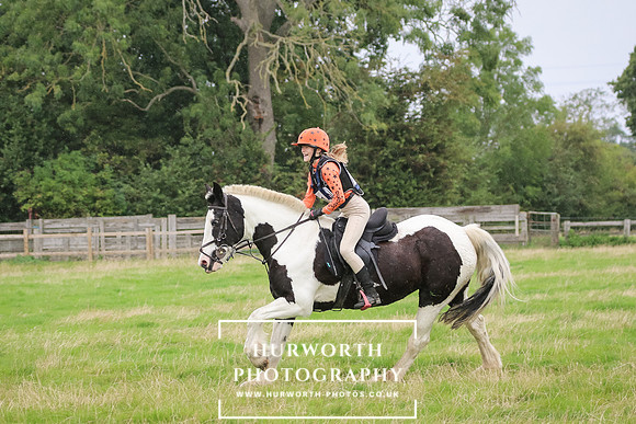 Hurworth Hunter Trial 441