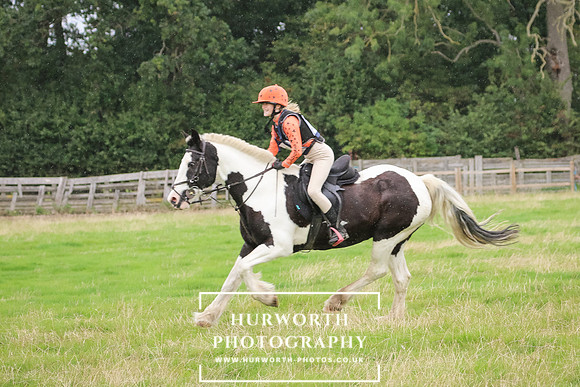 Hurworth Hunter Trial 443