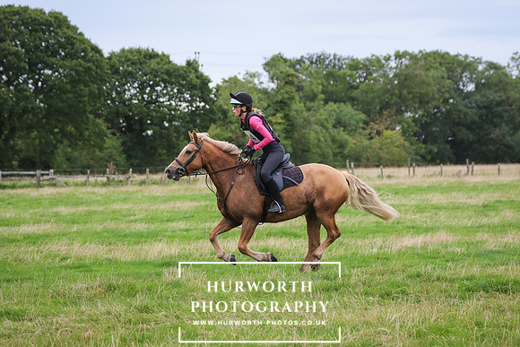 Hurworth Hunter Trial 208