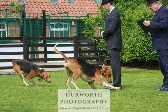 Hurworth Hunt 14