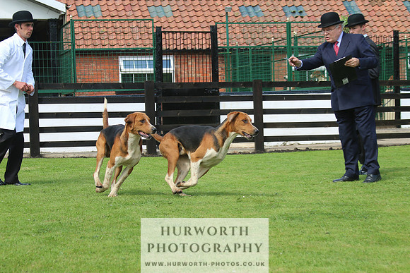 Hurworth Hunt 15