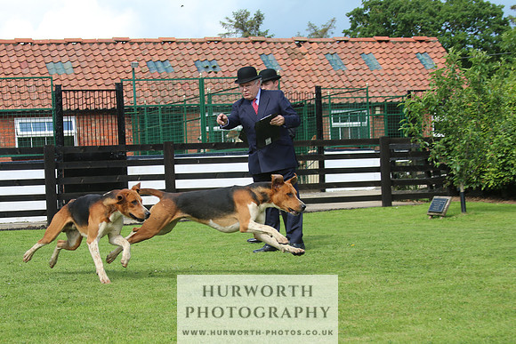 Hurworth Hunt 16