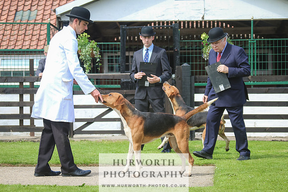 Hurworth Hunt 19