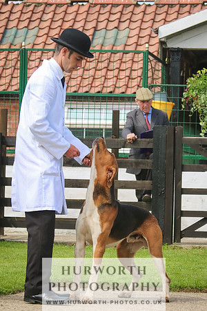 Hurworth Hunt 20