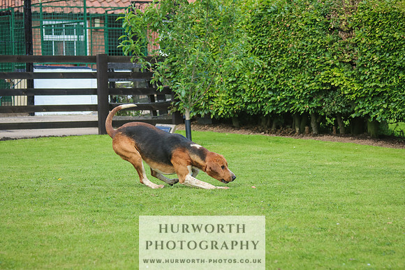 Hurworth Hunt 22