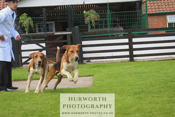 Hurworth Hunt 24