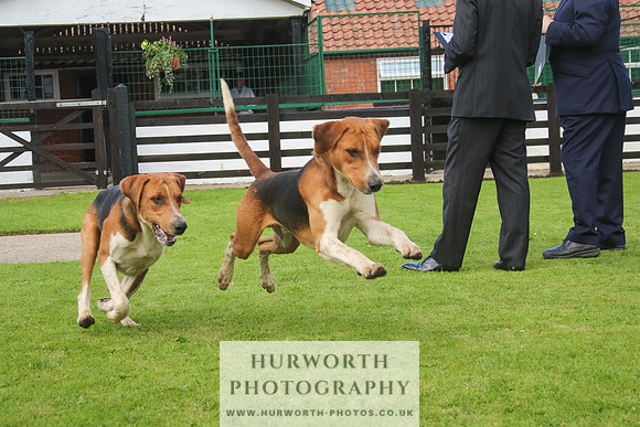 Hurworth Hunt 25