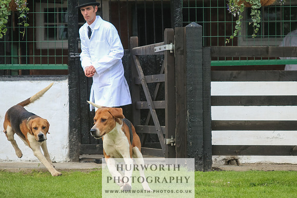 Hurworth Hunt 27