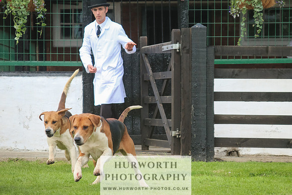 Hurworth Hunt 28