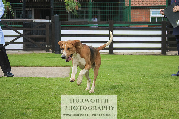 Hurworth Hunt 30