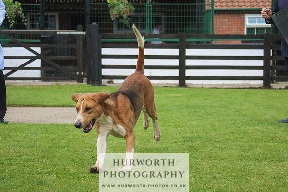 Hurworth Hunt 31