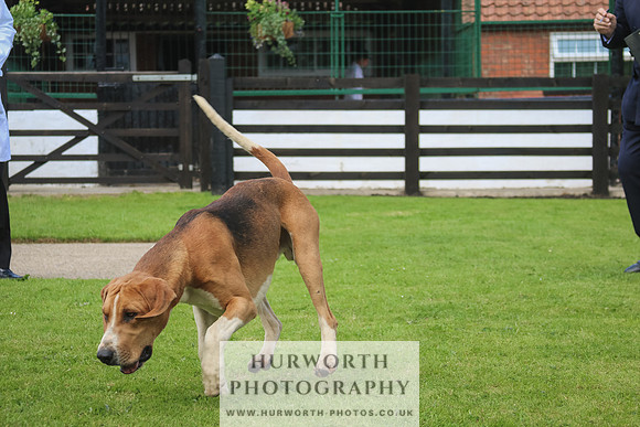 Hurworth Hunt 32