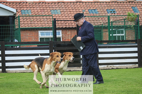 Hurworth Hunt 33