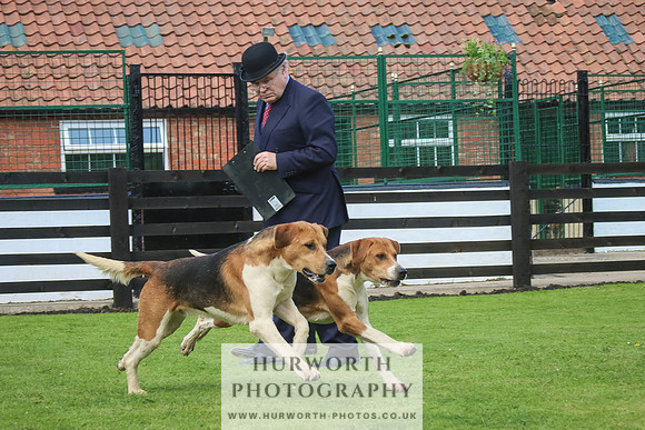Hurworth Hunt 34