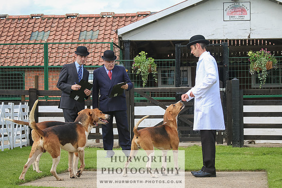 Hurworth Hunt 36